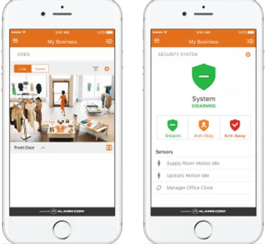 Security__Video_Business-300x283.png